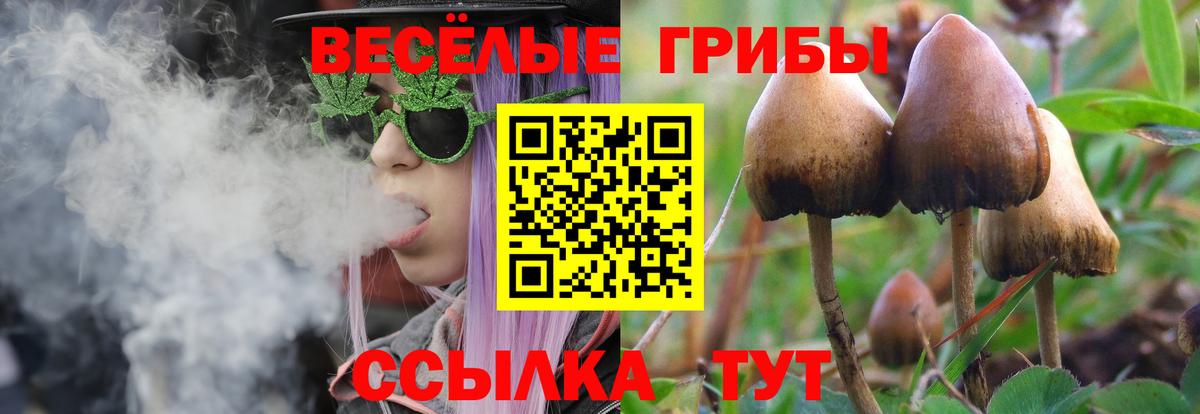 Калининград  Псилоцибиновые грибы Psilocybe  Галлюциногенные грибы мухоморы  Вход с VPN 